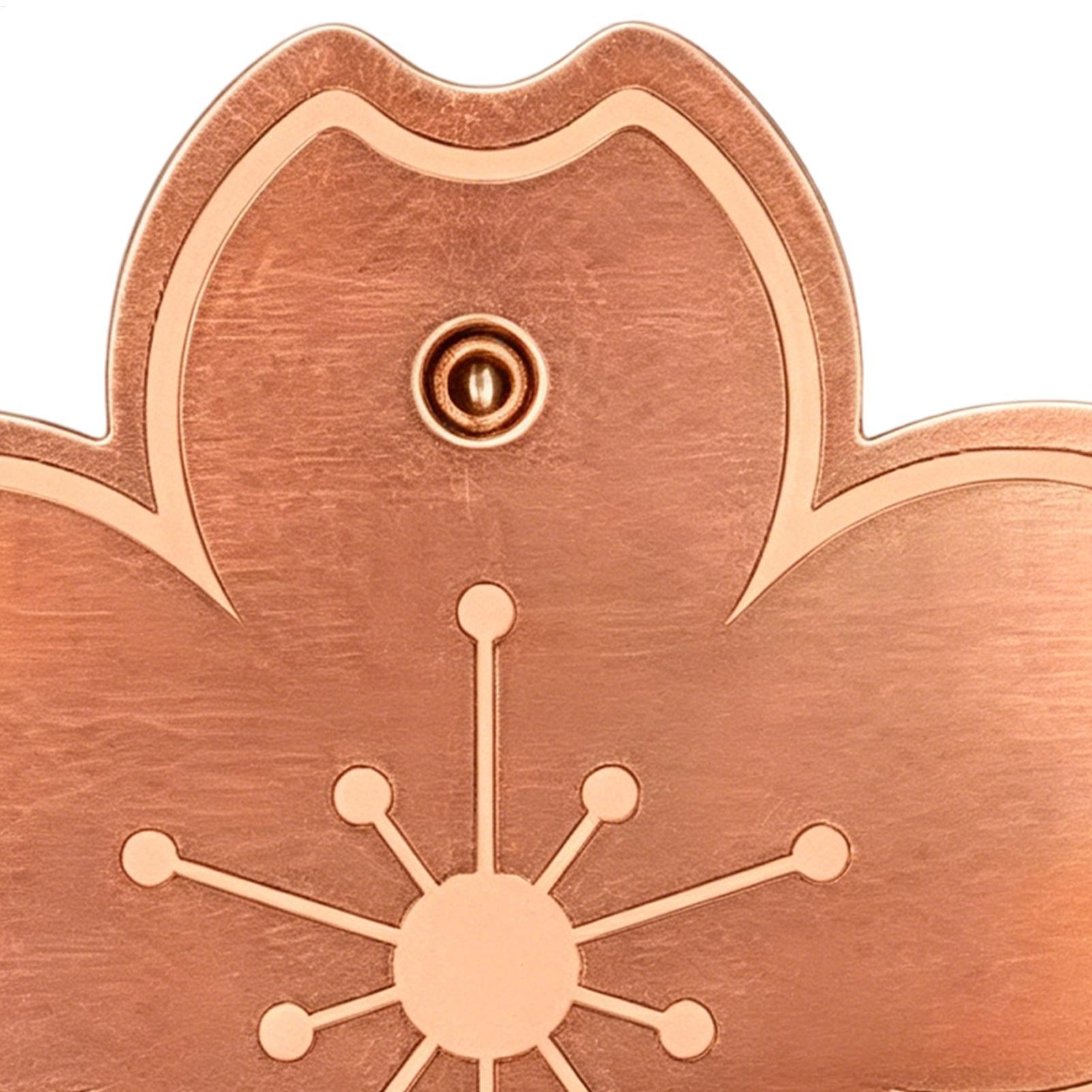 Watch S - Plaque de purification en cuivre pour