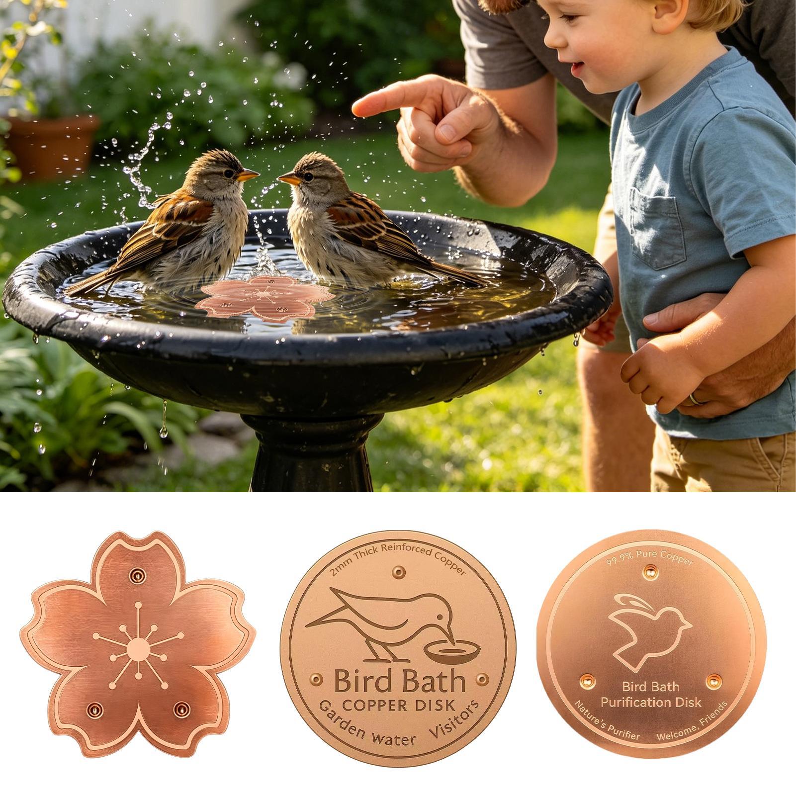 Plaque de purification en cuiv - Watch S avis et prix